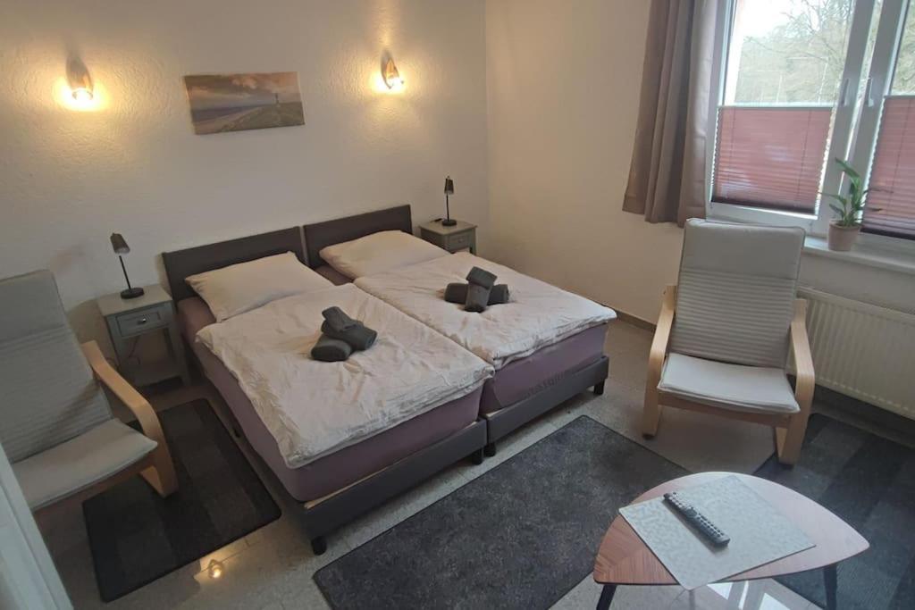 Hehlentor-city Gaeste Apartment