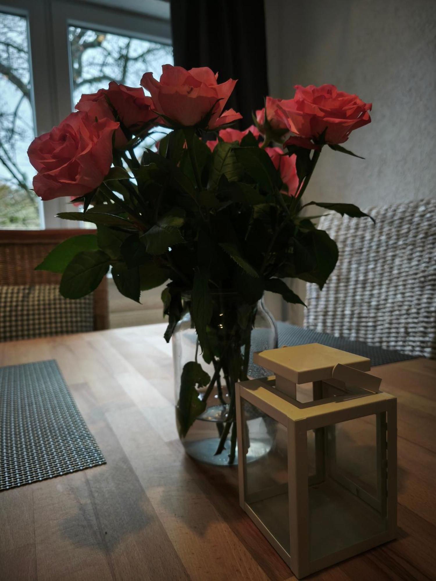Apartment Hehlentor-city Gaeste